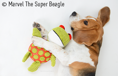 Marvel peluche chien RIGA boutchouc