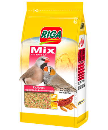 Riga mix exotiques